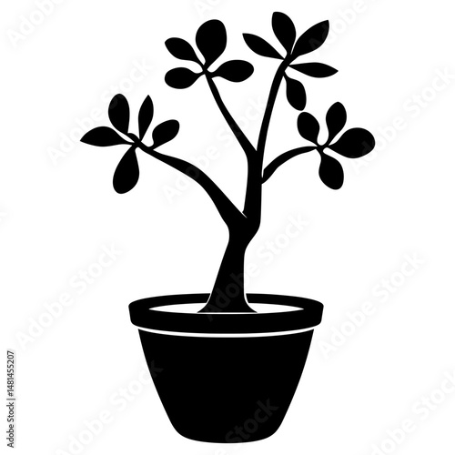 Potted plant with jade plant silhouette simple potted vector