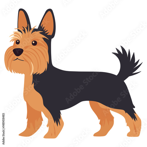 Yorkshire Terrier dog walking terrier illustration yorkshire vector