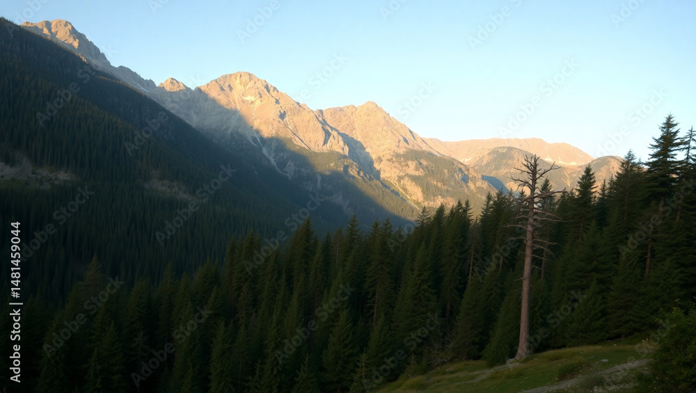 Fototapeta premium sunrise in the mountains