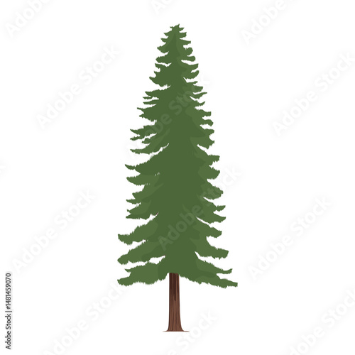 Redwood tree illustration nature astronomy vector