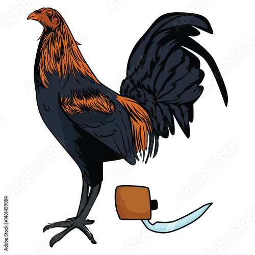 A fighting cock is a type of rooster and game fowl, a type of chicken that has physical and behavioral characteristics suitable for cockfighting.