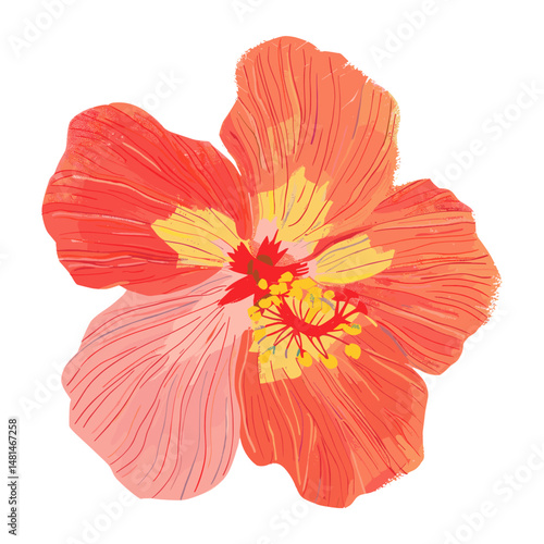 Hibiscus illustration hibiscus vibrant vector