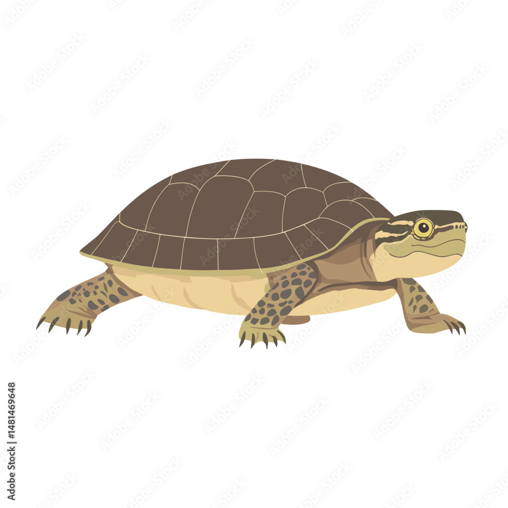 Obraz premium Illustration of European Pond Turtle turtle reptile animal vector