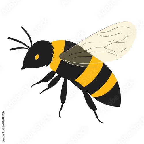 Bee illustration insect art vector