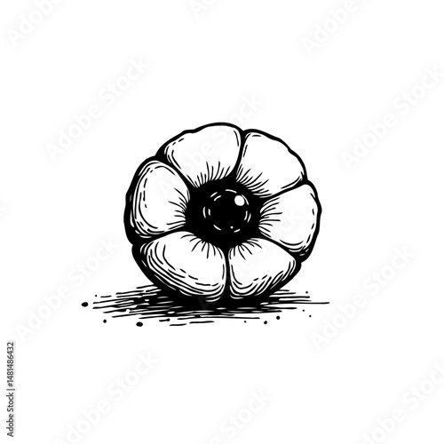 Monochrome floral sketch radiating simplistic beauty, a minimalist flower drawing