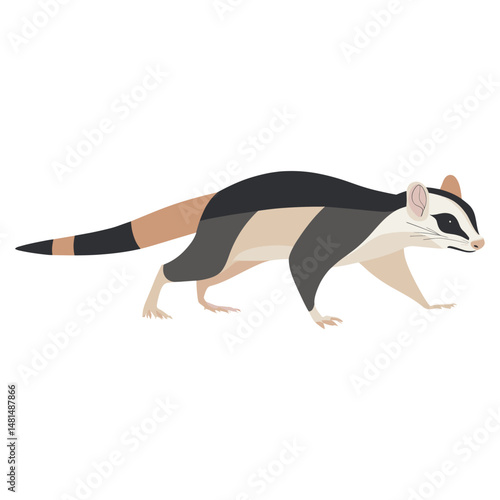 Illustration wildlife cartoon animal vector