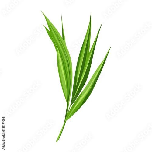 Wallpaper Mural Green reed leaf illustration botanical foliage vector Torontodigital.ca