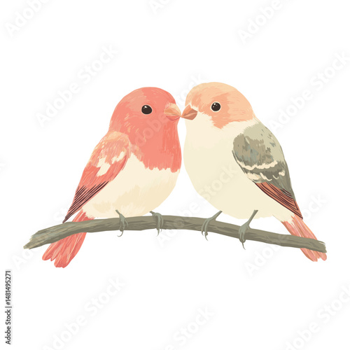 Love bird birds illustration weaponry vector