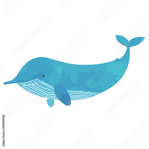 Cute whale illustration dolphin animal mammal vector