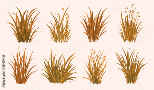 Autumn grass vector illustration set, vector element set