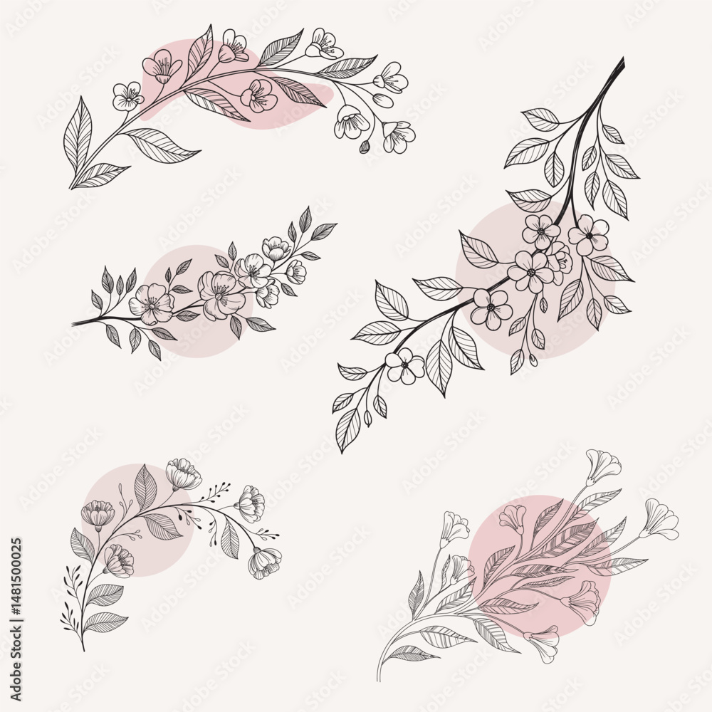 Fototapeta premium a delicate floral hand drawn line art vector set.eps