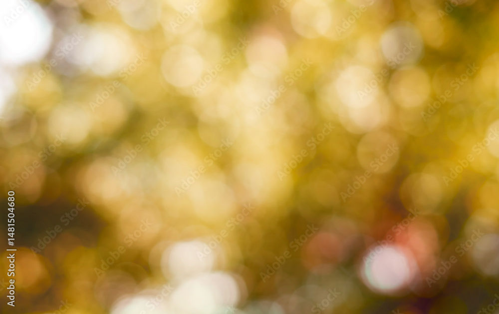 Obraz premium Yellow Orange light bokeh on nature blur background. Soft focus autumn colors background from tree, Fall wallpaper