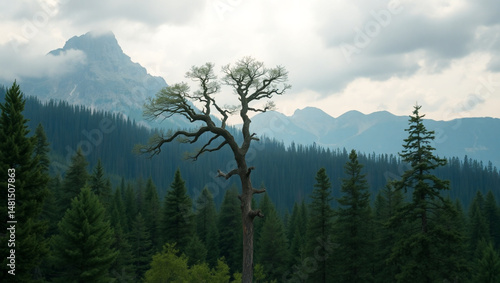 clouds over mountain