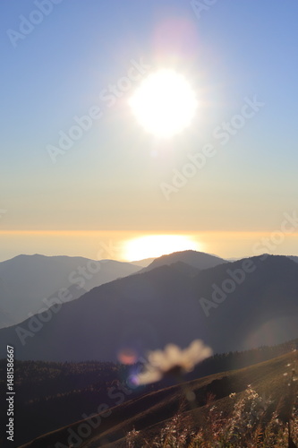 Sunlit Mountains with Meadow in Foreground (Vertical)