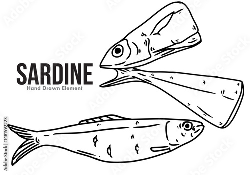 SARDINE fish on a black background