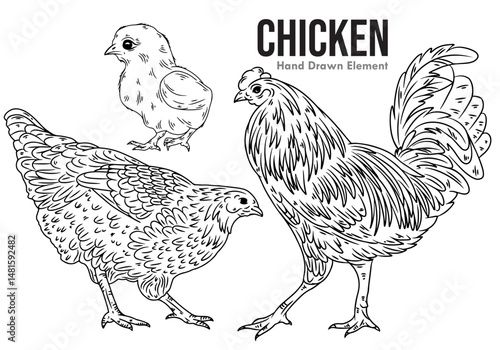 hen and chicken