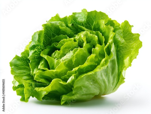 Fresh green cabbage isolated on transparent background