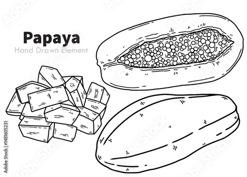 Vector illustration of Papaya