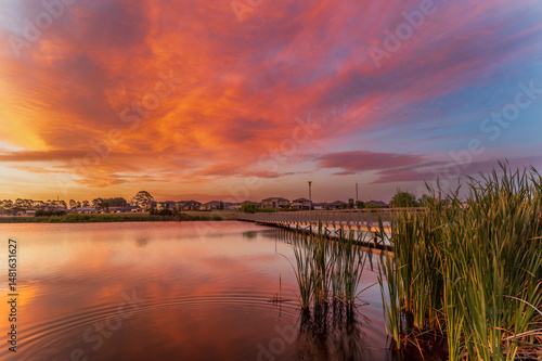 Spring Farm is a suburb of the Macarthur Region of Sydney in the state of New South Wales, Australia in Camden Council