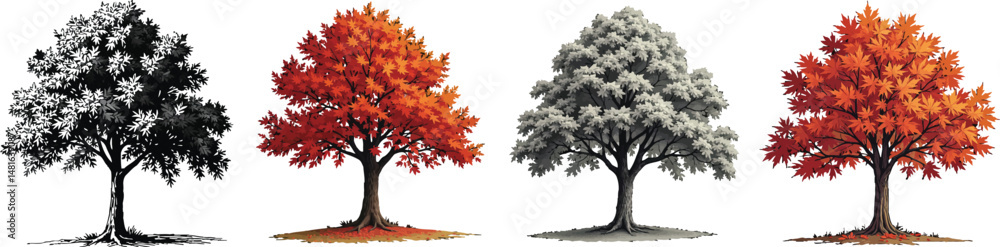 Naklejka premium Cut Out Set of Maple tree with leaves isolated on Transparent or white background, Vintage sketch vector illustration.