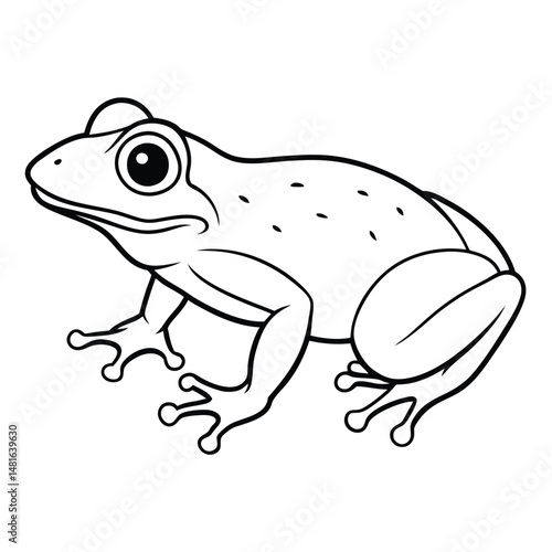 Green Tree Frog illustration white background