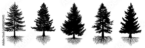 collection isolated pine trees and roots Symbol silhouette style on white background. Can be used for your work.