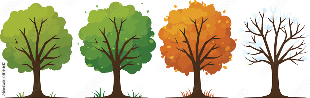 Fototapeta premium Tree in Four Seasons Vector Illustration