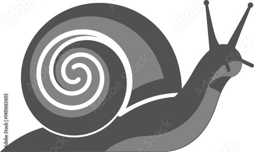 Minimalist Snail Vector
