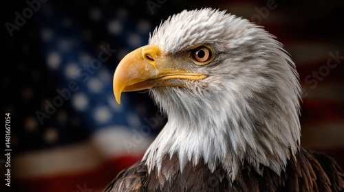 Close-up of a majestic bald eagle head with an American flag blurred in the background, side profile view 