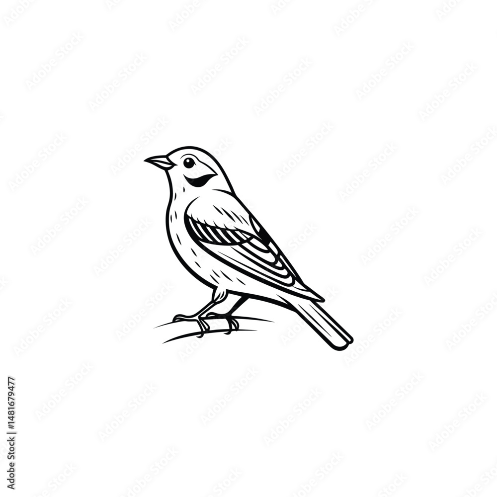 Flying birds silhouettes on white background. Vector illustration. isolated bird flying. tattoo design. Flying birds silhouettes on white background. Vector illustration. isolated bird flying. tattoo design.