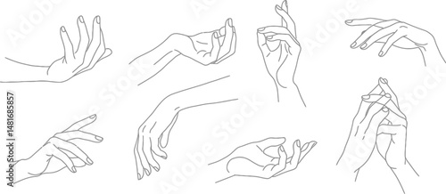 Illustration of Minimalist vector design of hands in different positions, by a world-class graphic designer. no text, minimalist, abstract, clean white background
