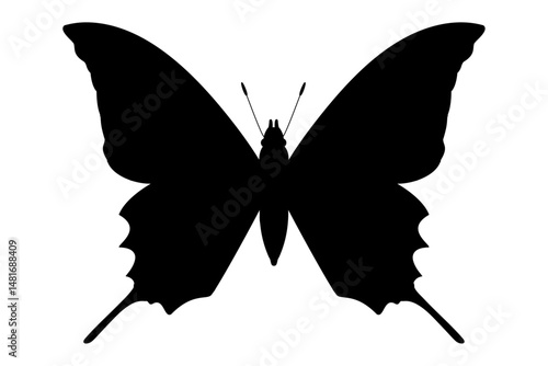 vector realistic silhouette butterfly. Cartoon black clip art isolated on transparent background. Hand drown 
design element.