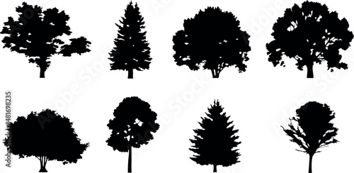 Minimal pine tree outlines — clean vector illustration perfect for eco logos or posters.