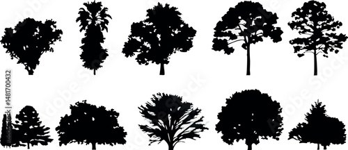 Classic woodland scenery made with black vector tree silhouettes.