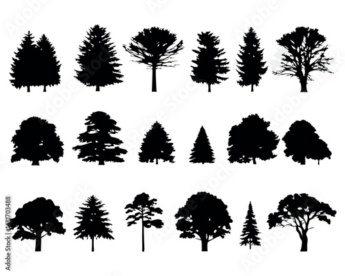 Silhouette of tall pine trees in black, creating a wild forest scene on a white background.