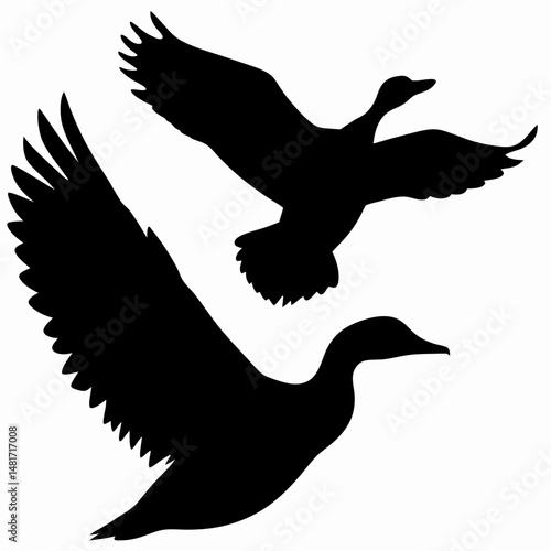 Black and White Flying Duck Silhouette   Soaring Bird Vector Illustration