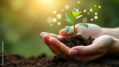 Wallpaper Mural Delicate Hands Nurture a Budding Sapling, Symbolizing Growth, Environmental Stewardship, and the Promise of a Sustainable Future with Digital Integration Torontodigital.ca