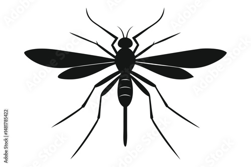 mosquito-engraving--silhouettes--vector-art-illust.eps
