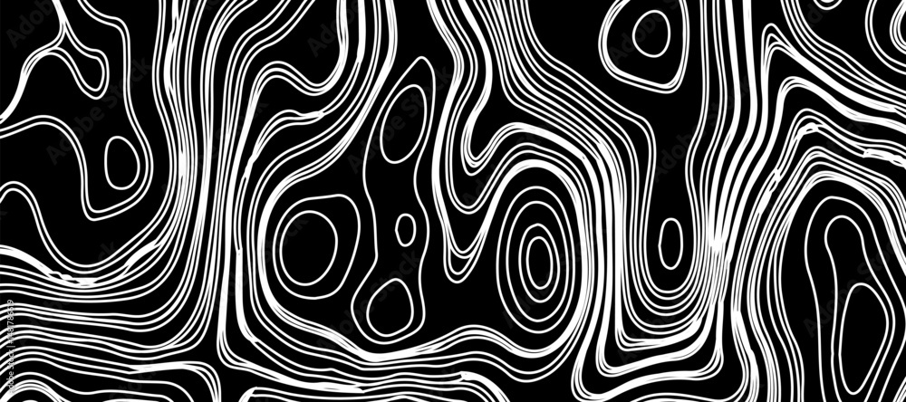 Fototapeta premium Topographic map like abstract backdrop. vector monochrome seamless pattern, curved lines, black & white layered texture. Abstract dynamical rippled surface.