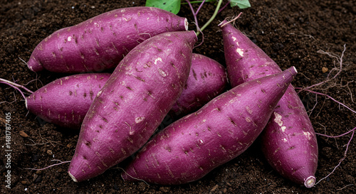 Fresh Purple Yams: Vibrant Root Vegetables