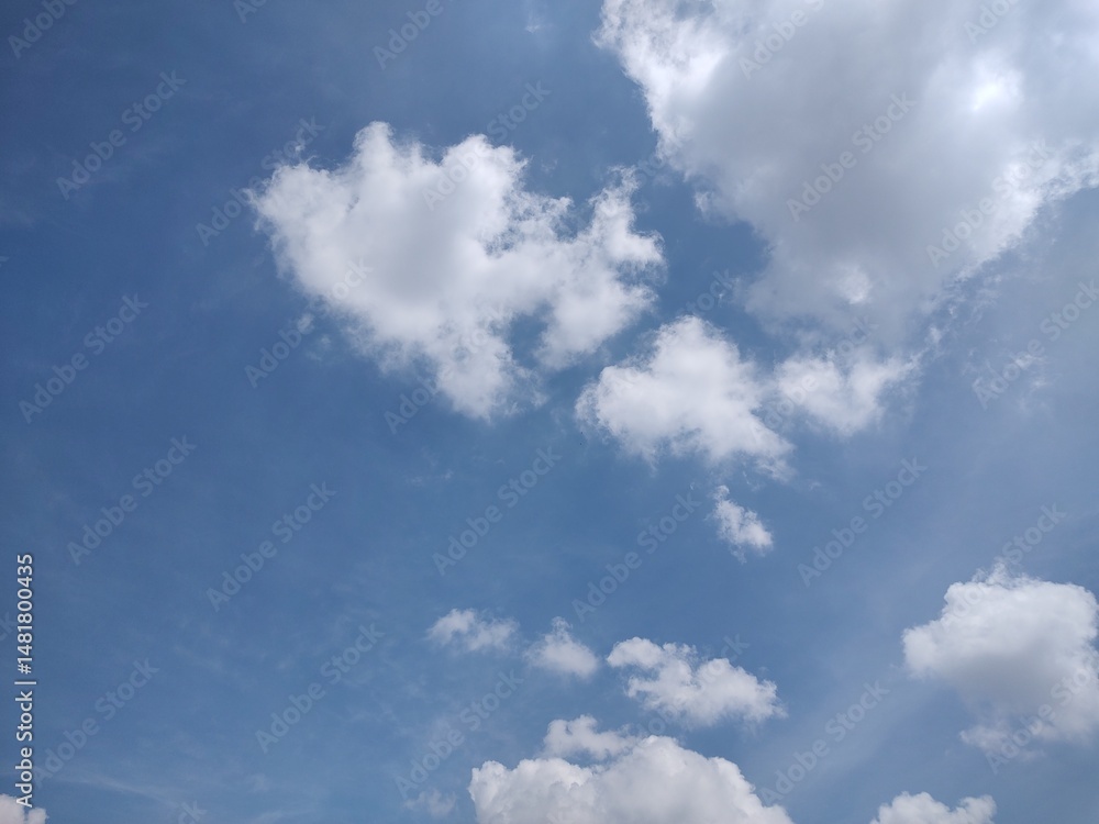 Fototapeta premium 東京のそら(25.5.15)