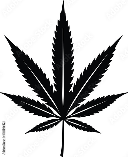 cannabis leaf vector illustration