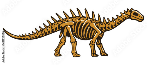 Agustinia spiked dinosaur fossil. Dino skeleton vector illustration