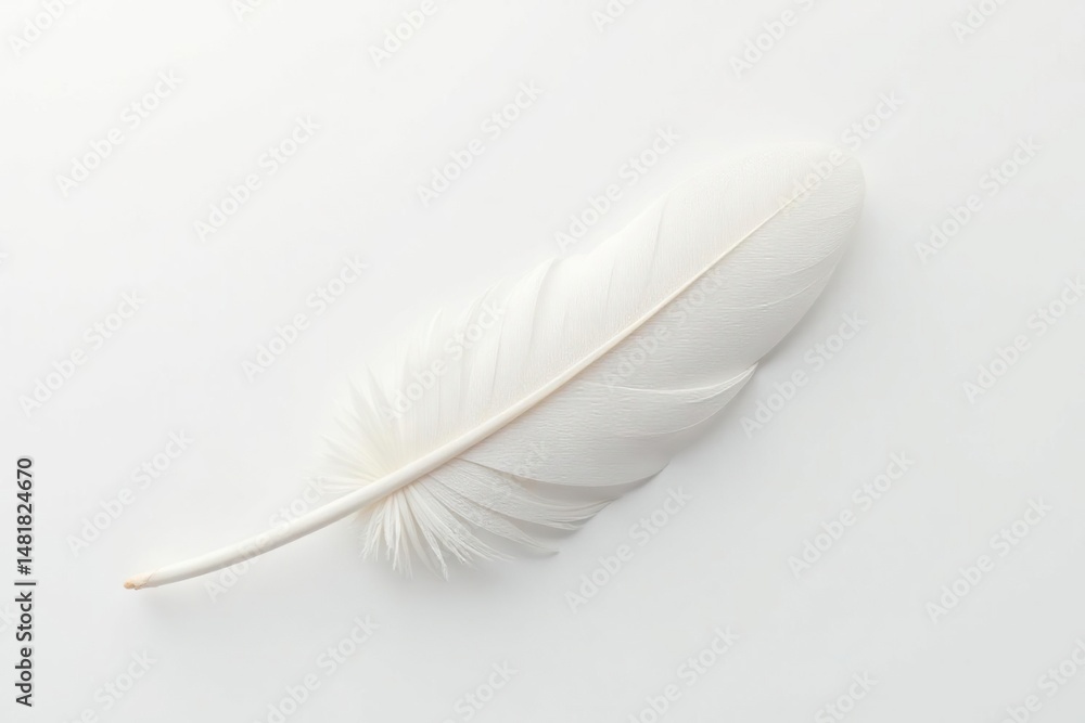 Obraz premium White feathers on pristine white background, soft light, wing, serene