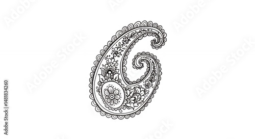 Elegant black and white paisley design