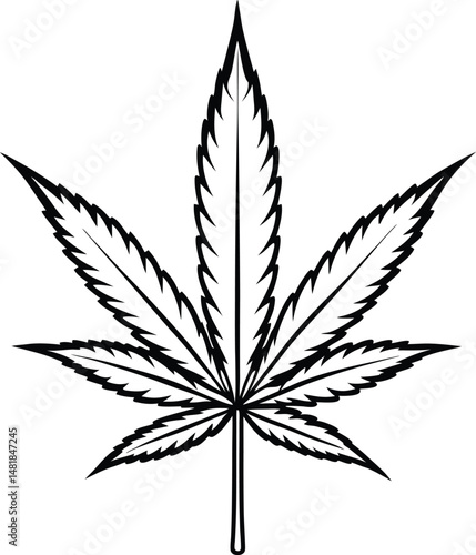 cannabis leaf vector illustration