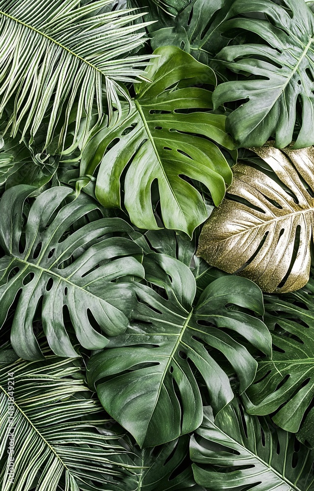 Obraz premium close up of green leaves