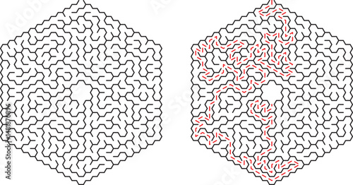 Hexagonal maze with solved path depicted for problem solving and conceptual visualization