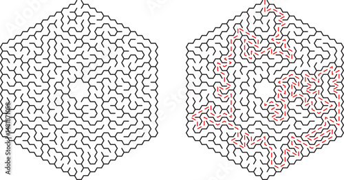 Complex hexagonal maze puzzle showing pathfinding solutions and challenging problem solving concepts