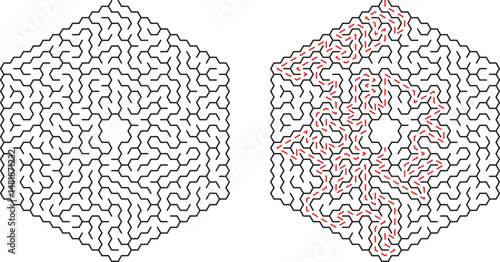 Hexagonal labyrinth maze illustration showing unsolved and solved path with solution marked